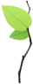 marker